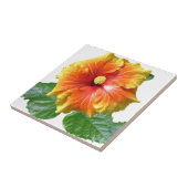 Carreau Fleur d'Hibiscus tropical (Côté)