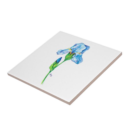 Carreau Fleur d'iris (Côté)