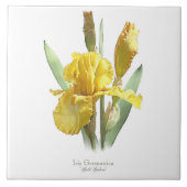 Carreau Fleur d'Iris Jaune Art Botanique de Style (Devant)