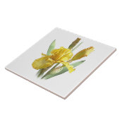 Carreau Fleur d'Iris Jaune Soleil Art Botanique (Côté)