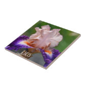 Carreau Fleur d'Iris rose et pourpre (Côté)