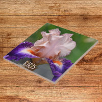 Fleur d'Iris rose et pourpre