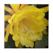 Carreau Fleur d'orchidée jaune Cactus (Devant)