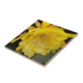 Carreau Fleur d'orchidée jaune Cactus (Côté)