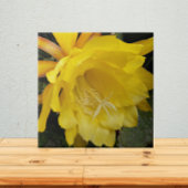 Carreau Fleur d'orchidée jaune Cactus