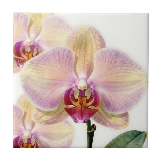 Carreau Fleur d'orchidée violette pastel élégante (Devant)
