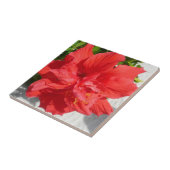 Carreau Fleur double hibiscus rouge (Côté)