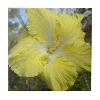 Carreau Fleur florale d'Hawaï de tuile jaune tropicale de