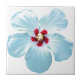 Carreau Fleur hawaïenne de ketmie (Devant)