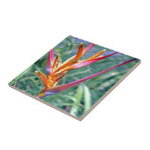 Carreau Fleur Heliconia améliorée (Côté)
