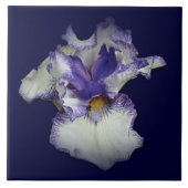 Carreau Fleur Iris à fond bleu et blanc (Devant)