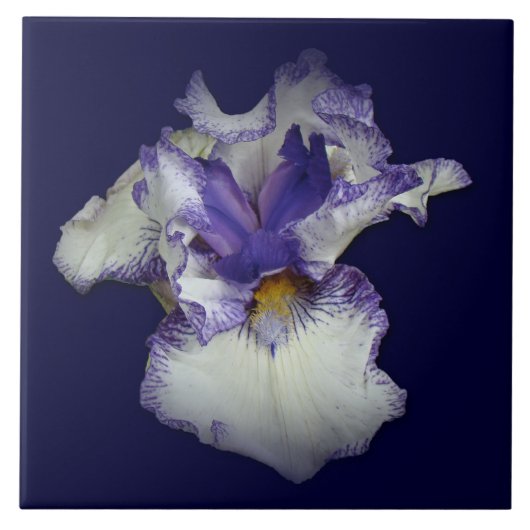 Carreau Fleur Iris à fond bleu et blanc (Devant)