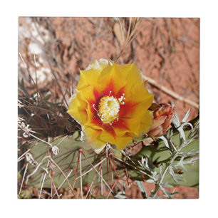 Carreau Fleur jaune et rouge de cactus en fleur