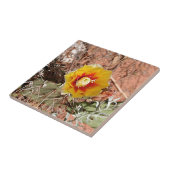 Carreau Fleur jaune et rouge de cactus en fleur (Côté)