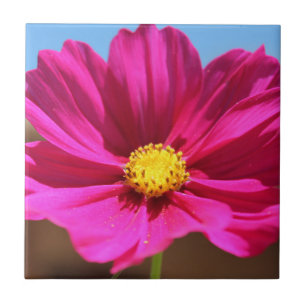Carreau Fleur magenta