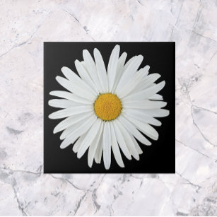 Carreau Fleur marguerite blanche sur Floral noir