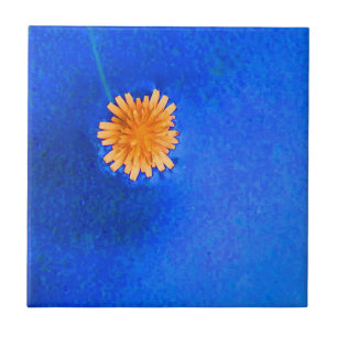 Carreau Fleur orange solitaire