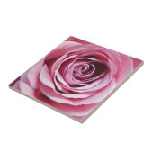 Carreau Fleur rose, aquarelle détail du bourgeon rose (Côté)