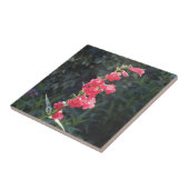 Carreau Fleur rose ensoleillée de Penstemon (Côté)