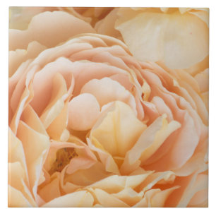 Carreau Fleur rose jaune