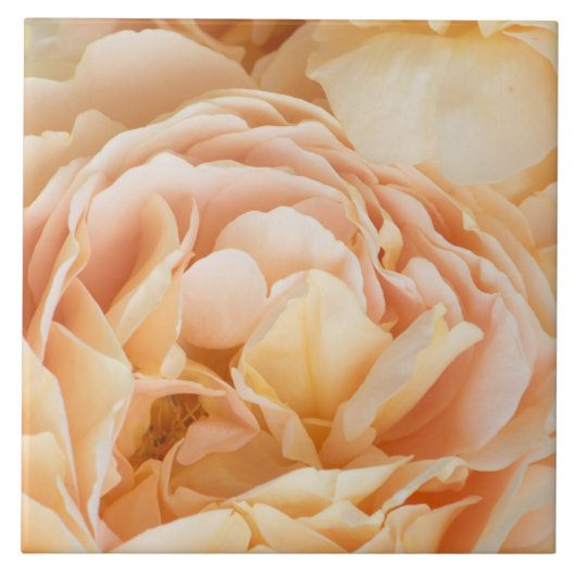 Carreau Fleur rose jaune (Devant)
