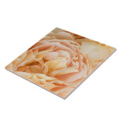 Carreau Fleur rose jaune (Côté)