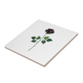 Carreau Fleur rose noire (Côté)