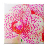 Carreau Fleur rose orchidée moderne (Devant)