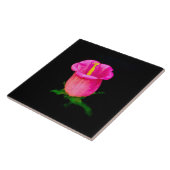 Carreau Fleur rose sur Noir (Côté)