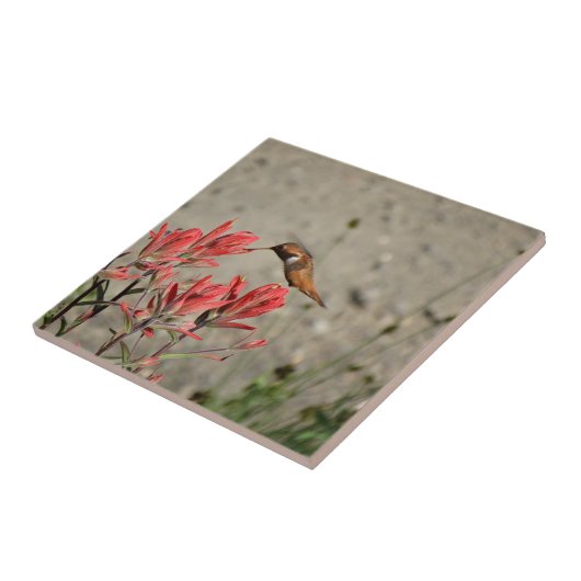 Carreau Fleur rouge (Côté)