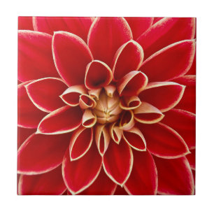 Carreau Fleur Rouge clair Dahlia