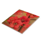 Carreau Fleur rouge de coing (Côté)