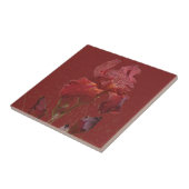 Carreau Fleur rouge de jardin d'iris de Bourgogne (Côté)