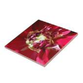 Carreau fleur rouge profonde (Côté)