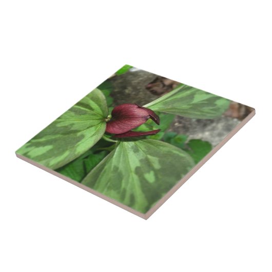 Carreau Fleur sauvage (Côté)