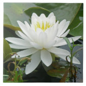 Carreau Fleur sauvage blanc de nénuphar (Devant)