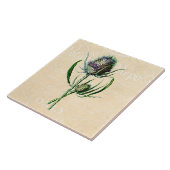 Carreau Fleur sauvage d'antiquité de chardon d'écossais du (Côté)