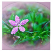 Carreau Fleur sauvage Deptford Pink (Devant)