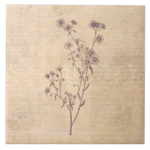 Carreau Fleur sauvage Fleur Fleur Faisy Wild Livre de scri