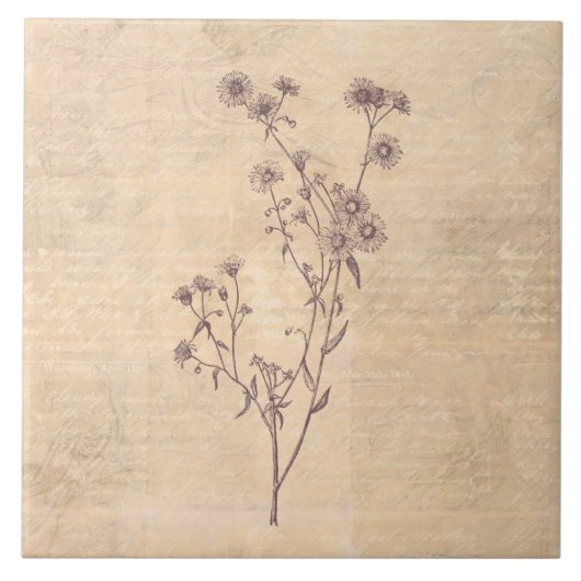 Carreau Fleur sauvage Fleur Fleur Faisy Wild Livre de scri (Devant)