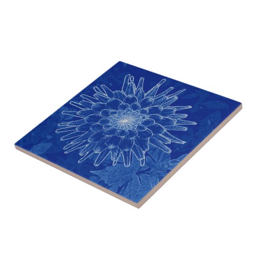 Carreau fleur sur bleu (Côté)