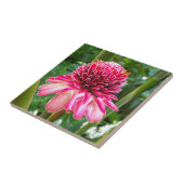 Carreau Fleur tropicale de gingembre de torche (Côté)