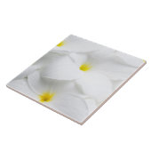 Carreau Fleur tropicale hawaïenne de Frangipani blanc de (Côté)