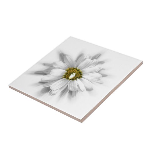 Carreau fleurit dans les tons blancs (Côté)