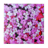 CARREAU FLEURS (Devant)