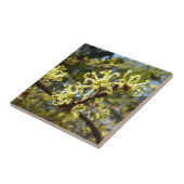 Carreau Fleurs à puces de sorcière (Côté)