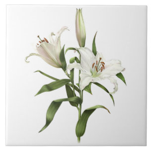 Carreau Fleurs blanches asiatiques Lily Art botanique