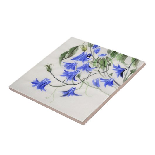 Carreau Fleurs bleues (Côté)