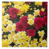 Carreau Fleurs Chrysanthème d'automne en or rouge (Devant)