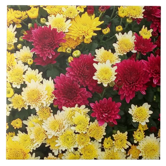 Carreau Fleurs Chrysanthème d'automne en or rouge (Devant)
